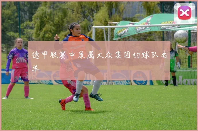 德甲联赛中隶属大众集团的球队名单