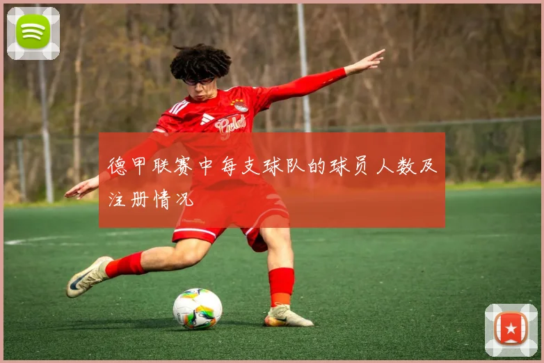 德甲联赛中每支球队的球员人数及注册情况