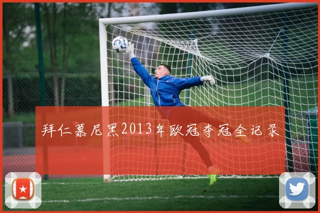 拜仁慕尼黑2013年欧冠夺冠全记录