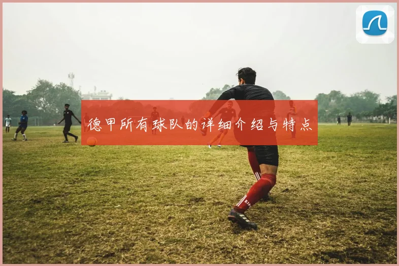 德甲所有球队的详细介绍与特点