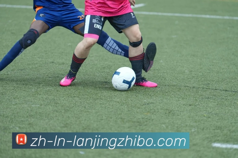 蓝鲸体育APP 封面图